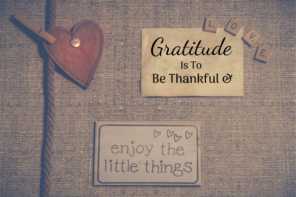 Gratitude Is To Be Thankful & Enjoy The Little Things